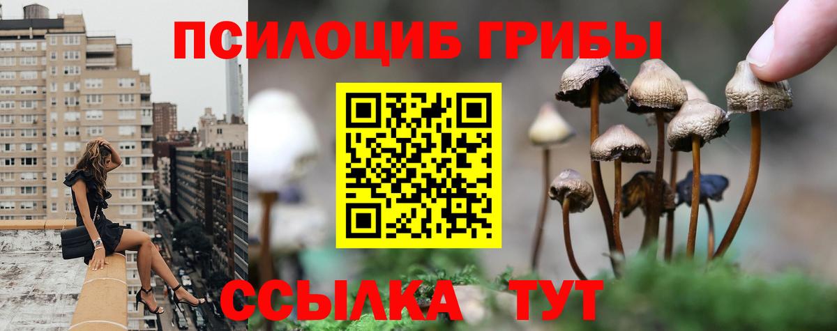 Галлюциногенные грибы Psilocybine cubensis  как найти   Татарск  Вход с VPN 
